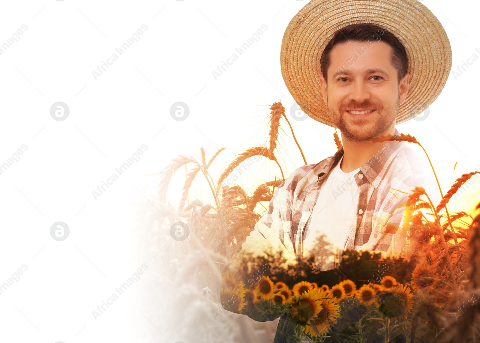 Image of Multiple exposure of farmer and agricultural fields on white background