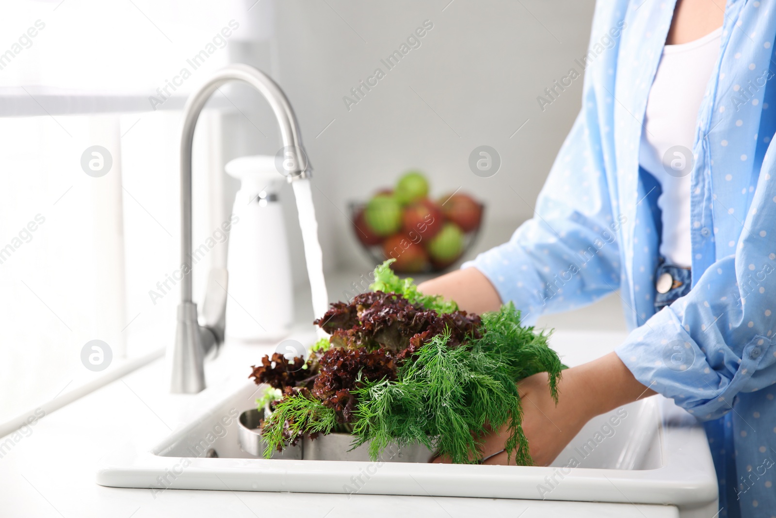 Photo of Woman washing fresh lettuce and dill in kitchen sink, closeup