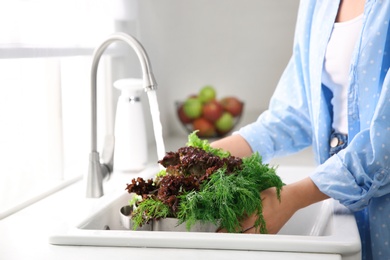 Woman washing fresh lettuce and dill in kitchen sink, closeup