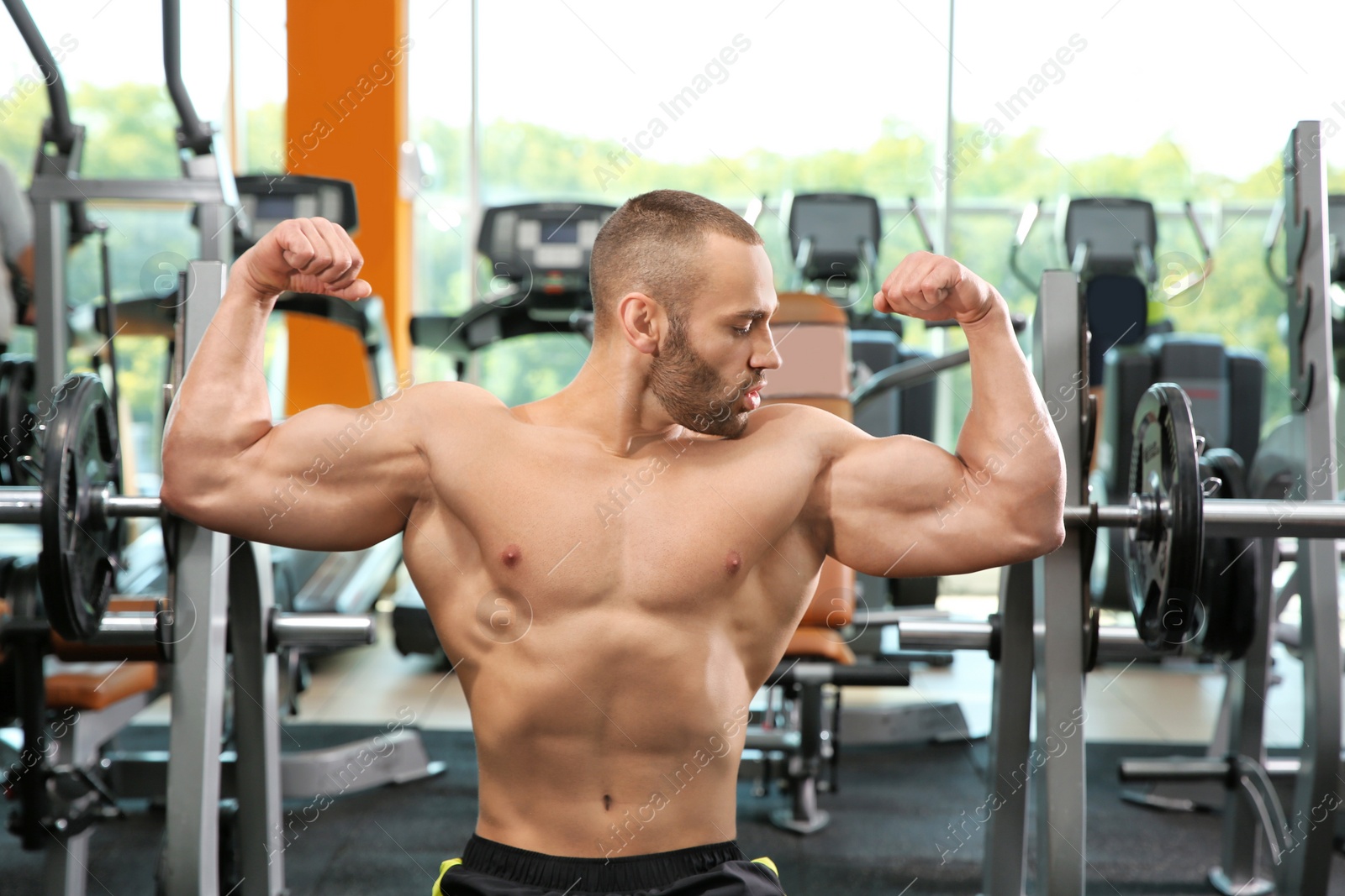 Photo of Shirtless strong young man posing in gym