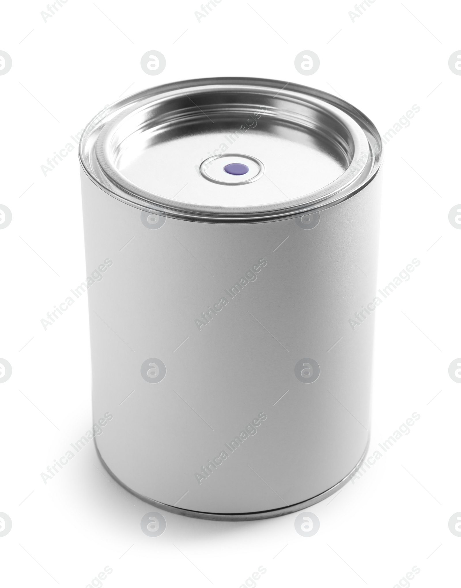 Photo of Closed blank can of paint isolated on white