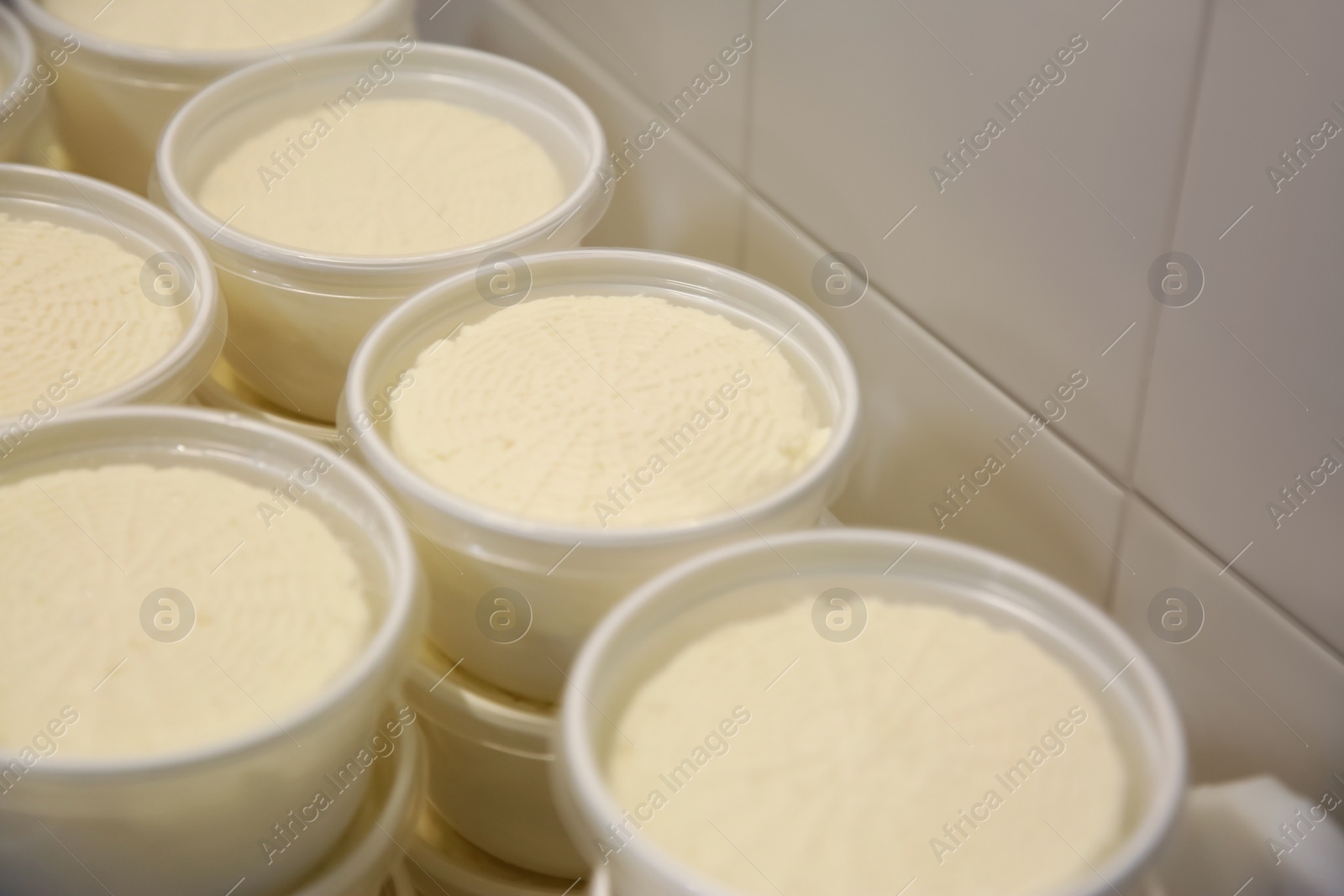 Photo of Moulds with pressed cheese near wall at modern factory