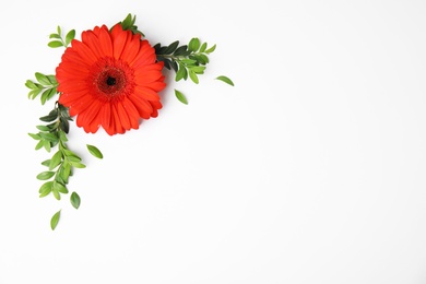 Photo of Flat lay composition with beautiful bright gerbera flower on white background. Space for text