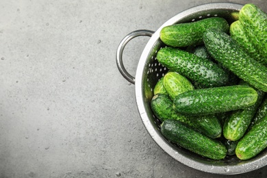 Photo of Colander with ripe fresh cucumbers on table, top view