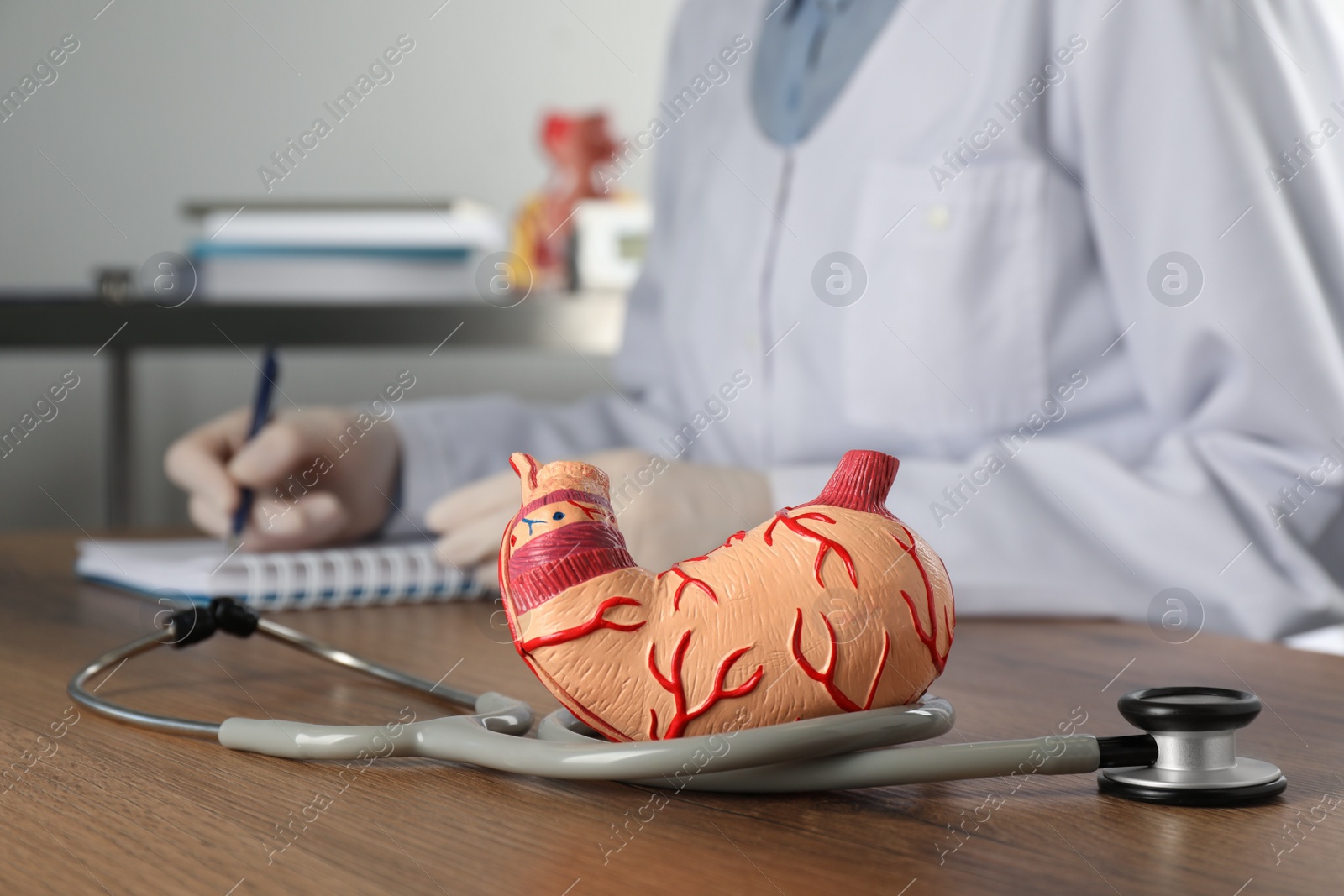 Photo of Human stomach model with stethoscope and gastroenterologist at table in clinic, closeup