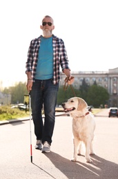 Photo of Guide dog helping blind person with long cane walking outdoors