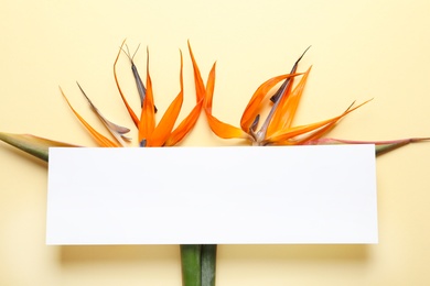 Photo of Creative composition with tropical flowers and card on color background, top view