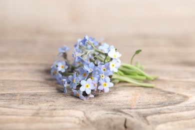 Photo of Beautiful forget-me-not flowers on wooden background, closeup