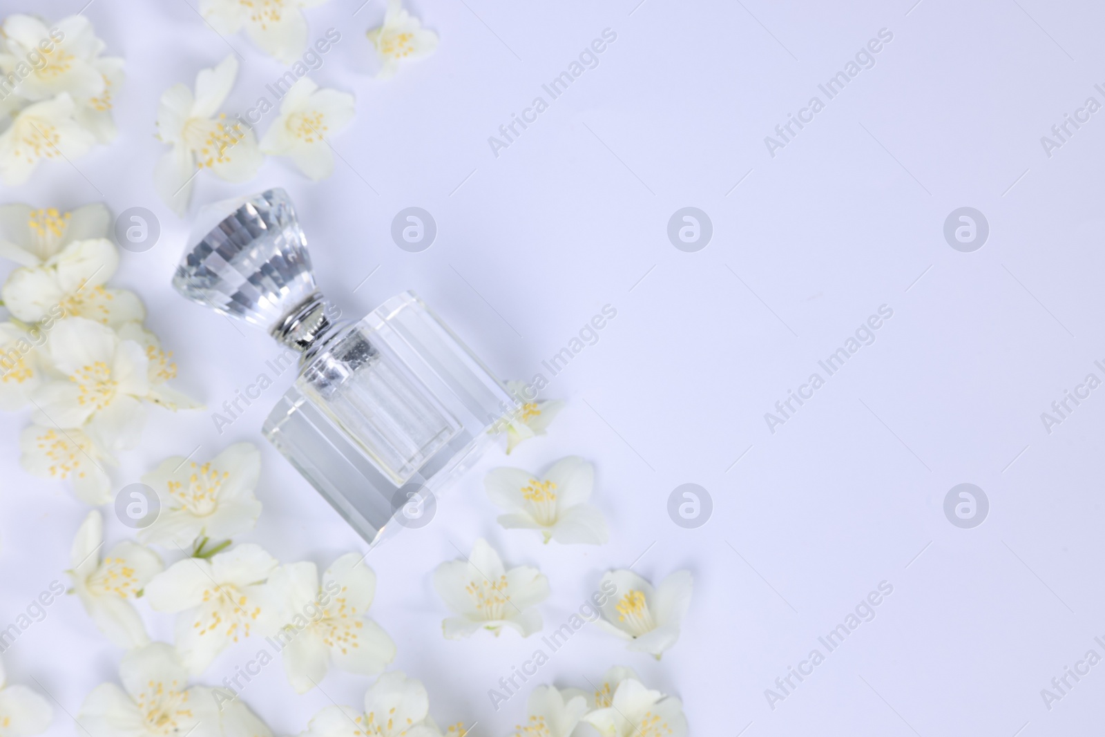 Photo of Aromatic perfume in bottle and beautiful jasmine flowers on white background, flat lay. Space for text