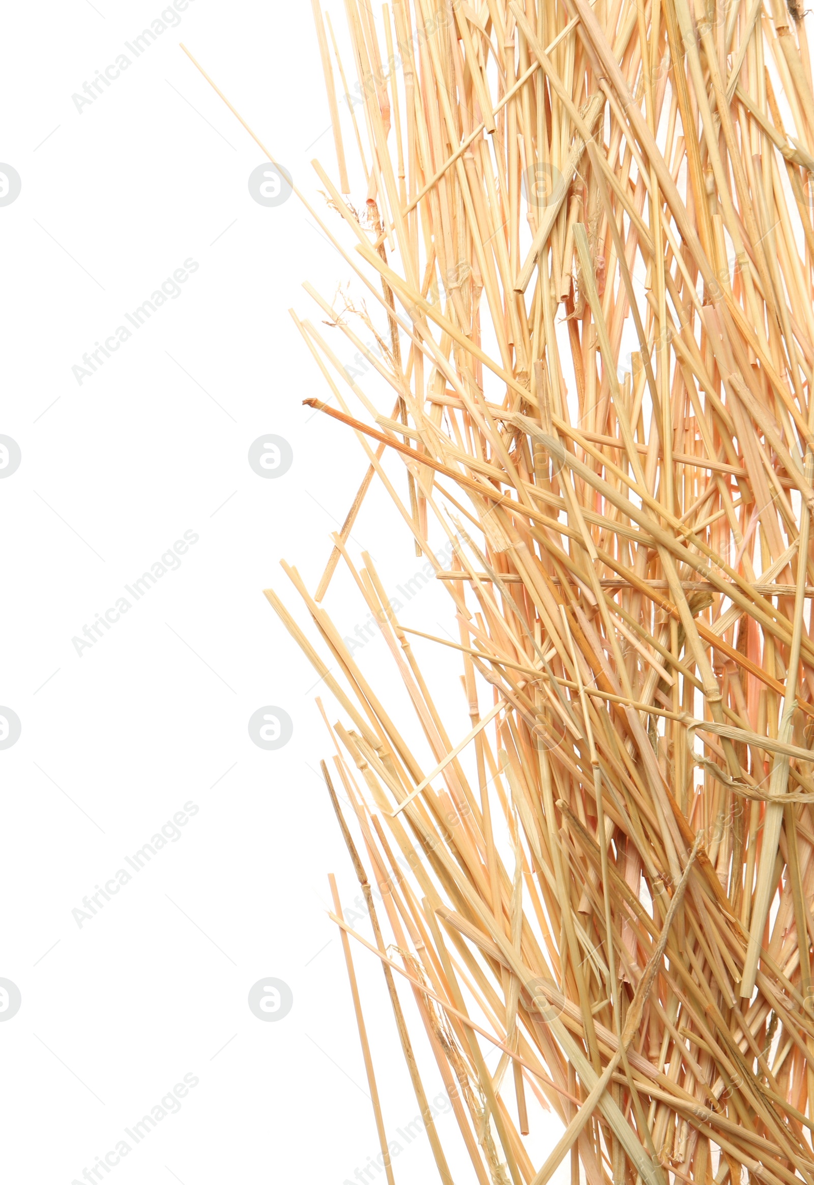 Photo of Dried hay on white background, top view