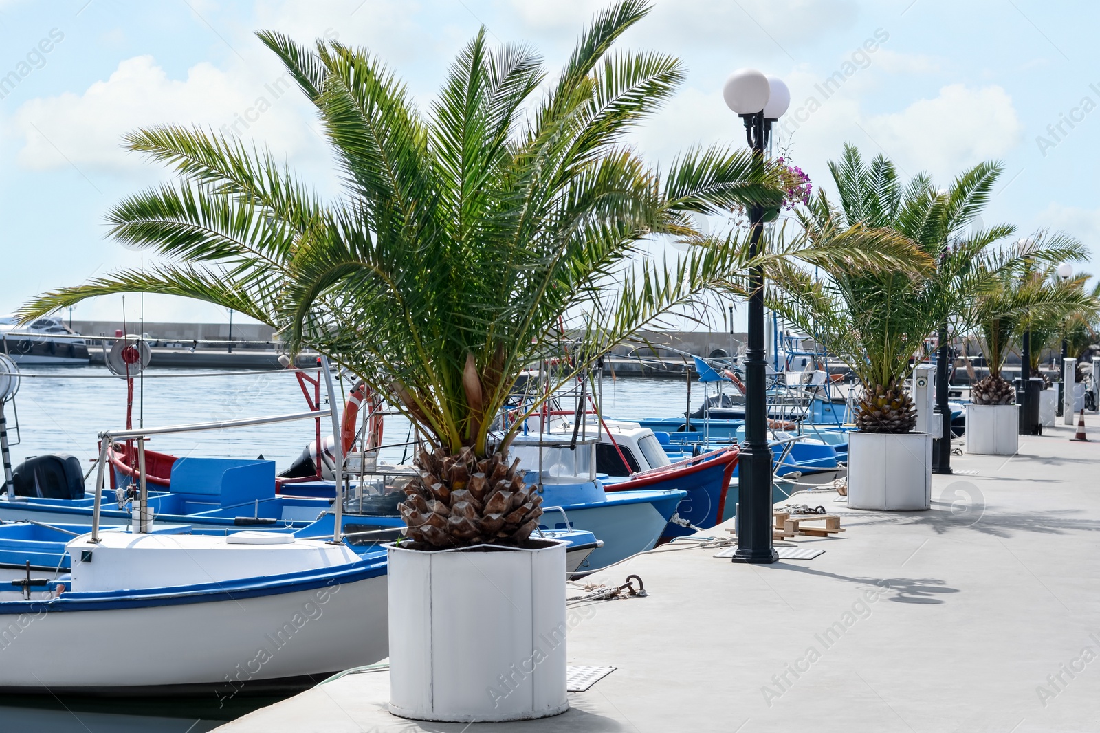 Photo of Beautiful view of city pier with moored boats and palms on sunny day