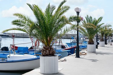 Beautiful view of city pier with moored boats and palms on sunny day