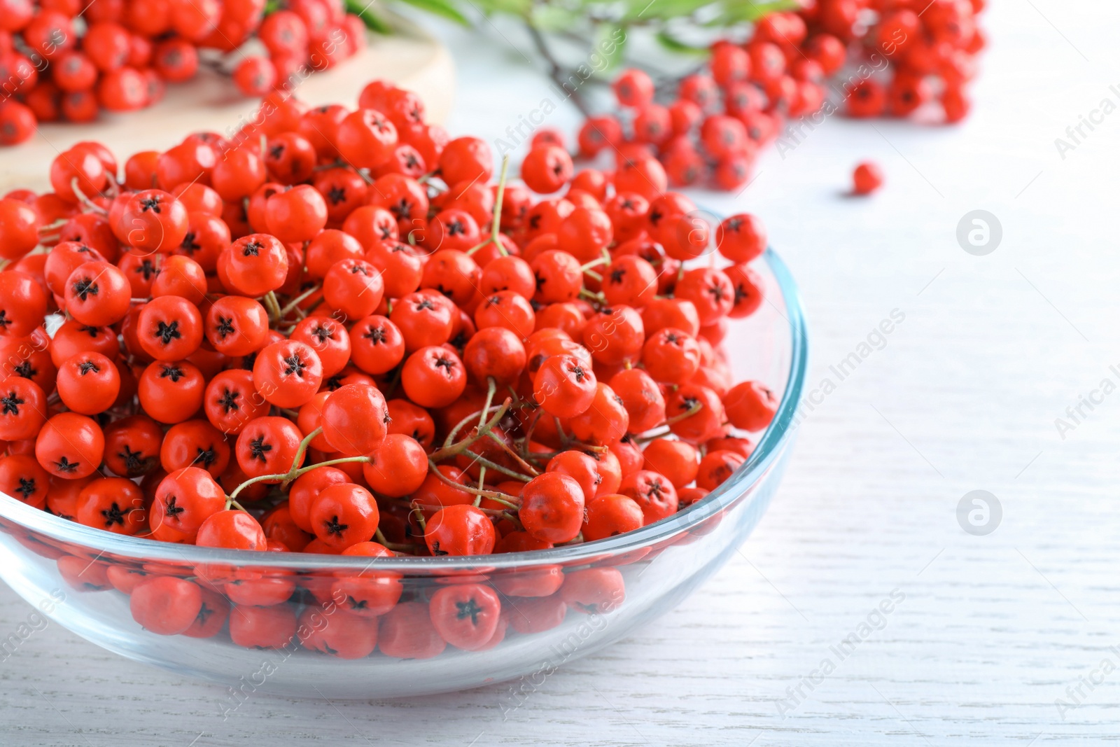 Photo of Fresh ripe rowan berries in glass bowl on white wooden table, closeup
