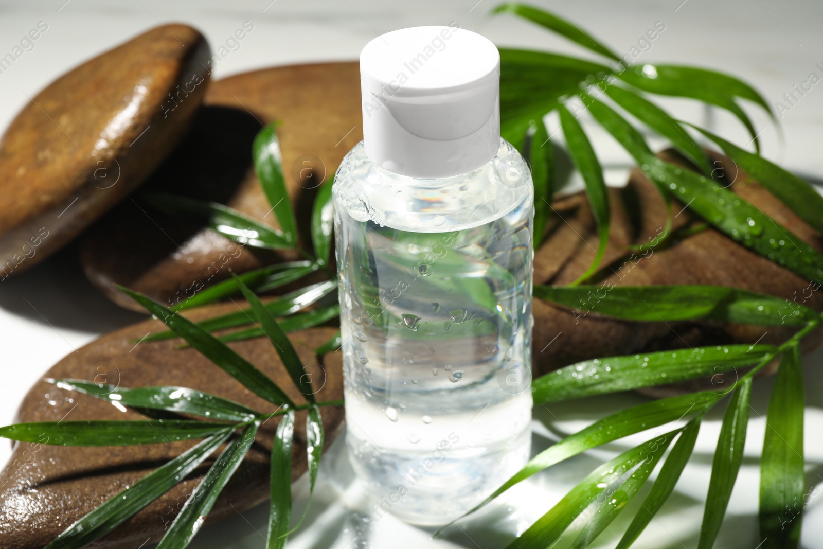 Photo of Bottle of micellar cleansing water, green twigs and spa stones on white table, closeup