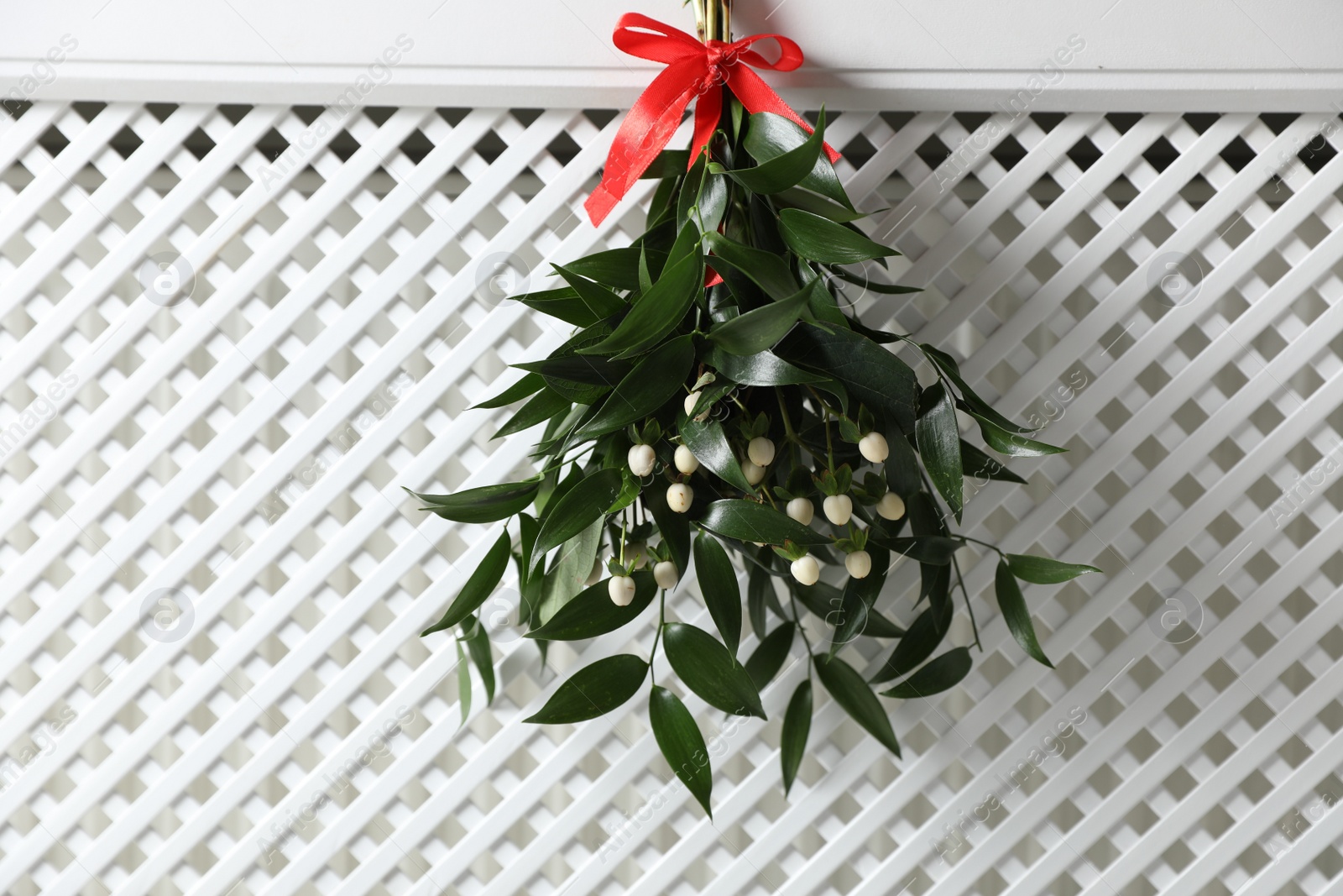 Photo of Mistletoe bunch with red bow hanging on white textured background. Traditional Christmas decor