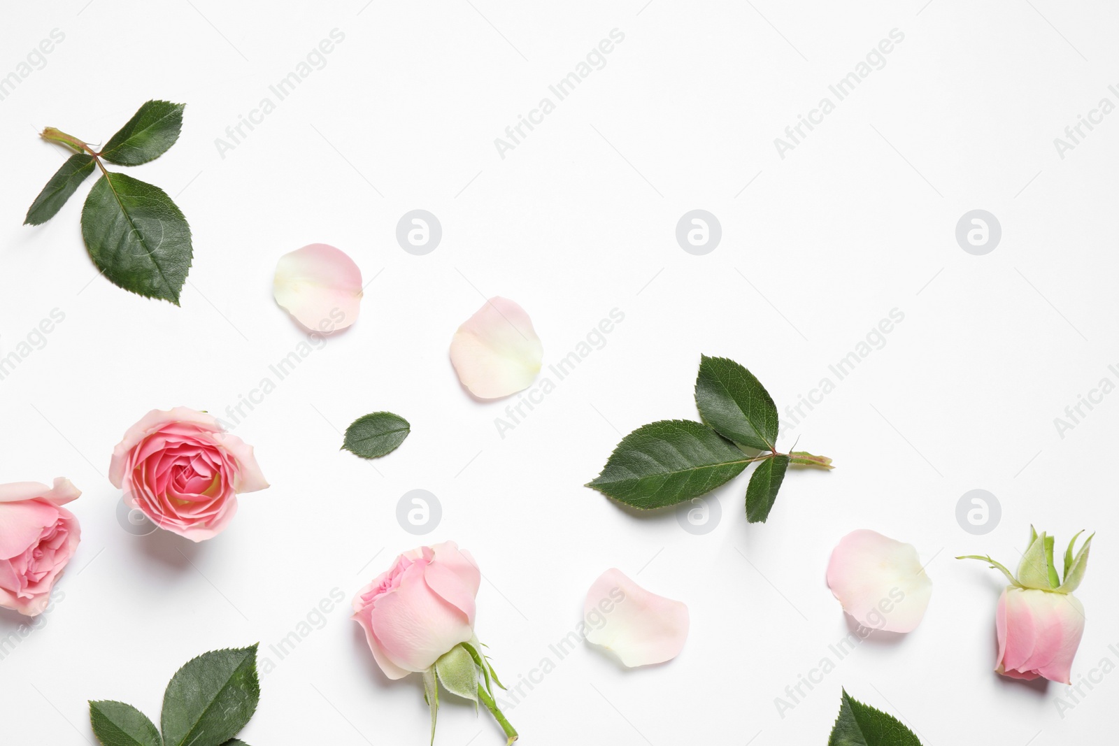 Photo of Composition with beautiful flowers on white background, top view. Floral card design