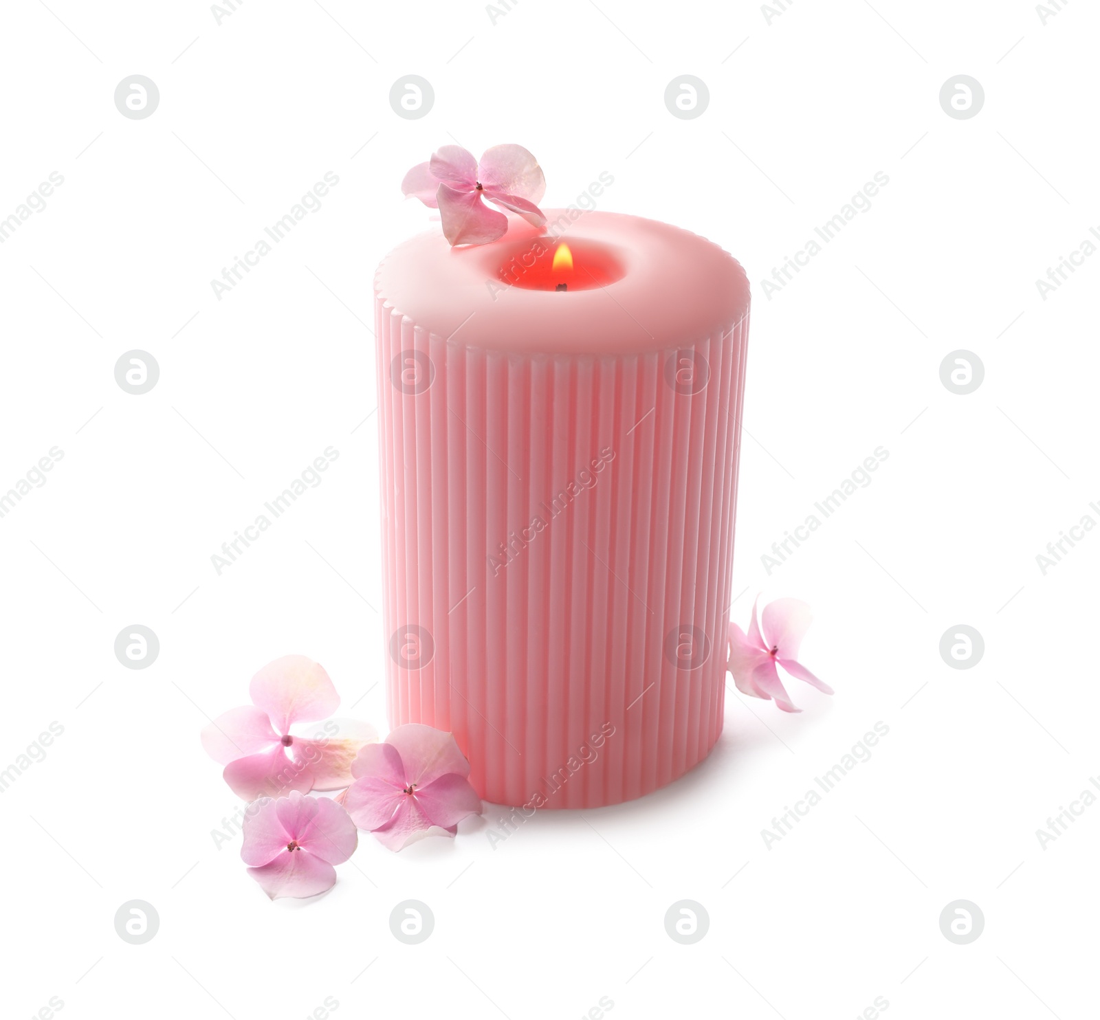 Photo of Burning pink wax candle and flowers isolated on white