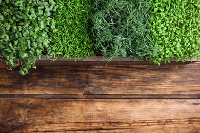 Fresh organic microgreens on wooden table, top view. Space for text