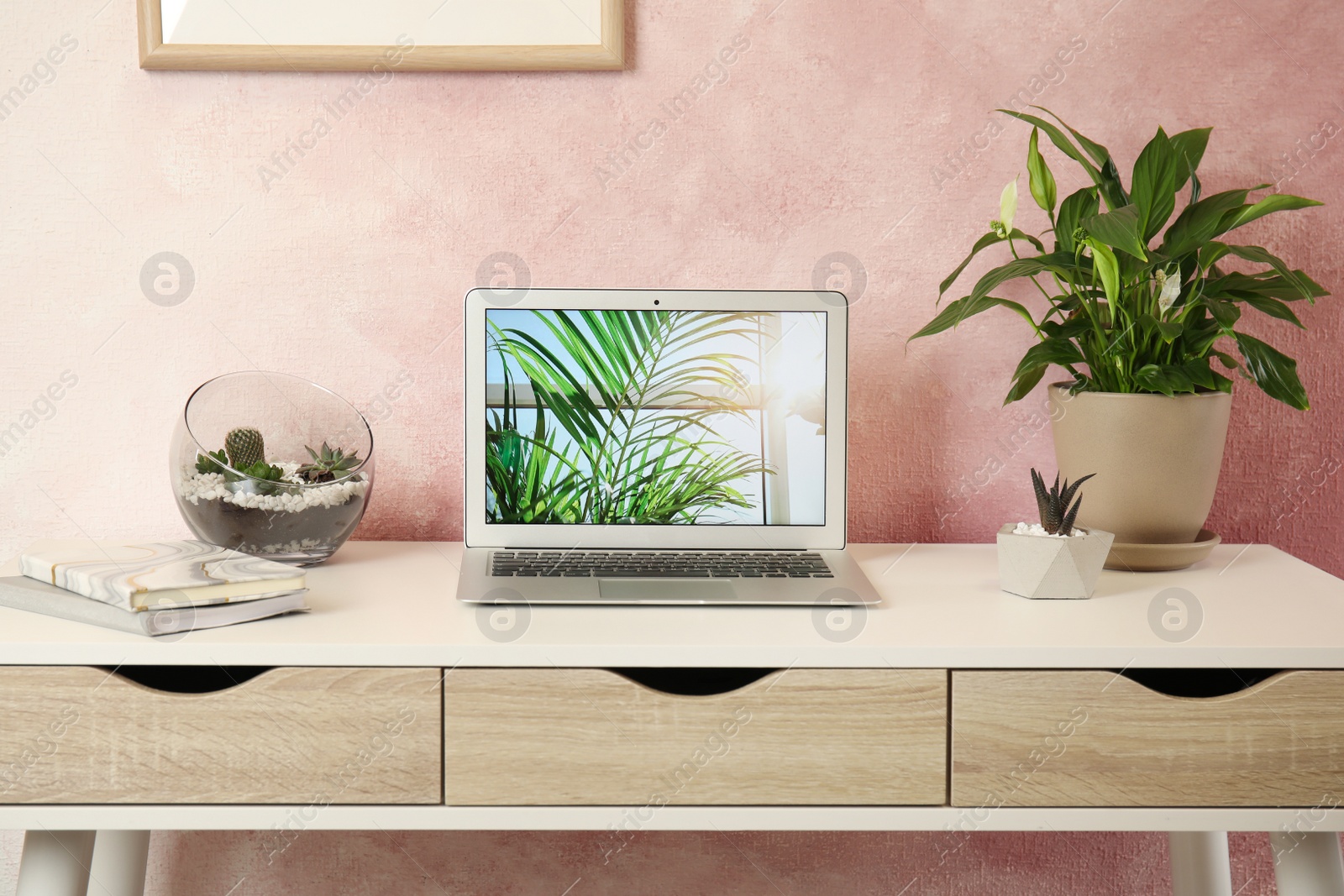 Photo of Houseplants and laptop on table in office interior