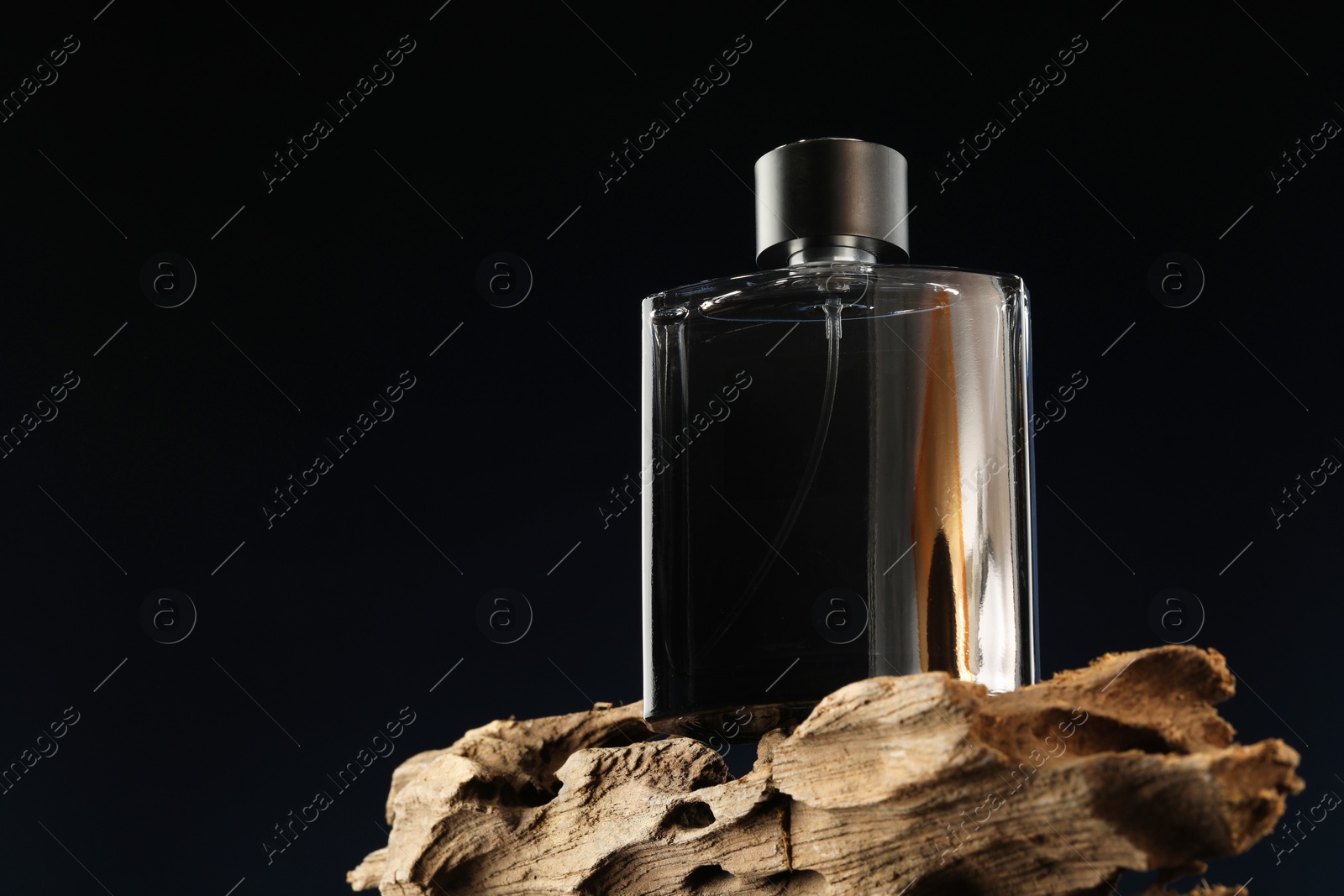 Photo of Luxury men`s perfume in bottle against dark background, space for text