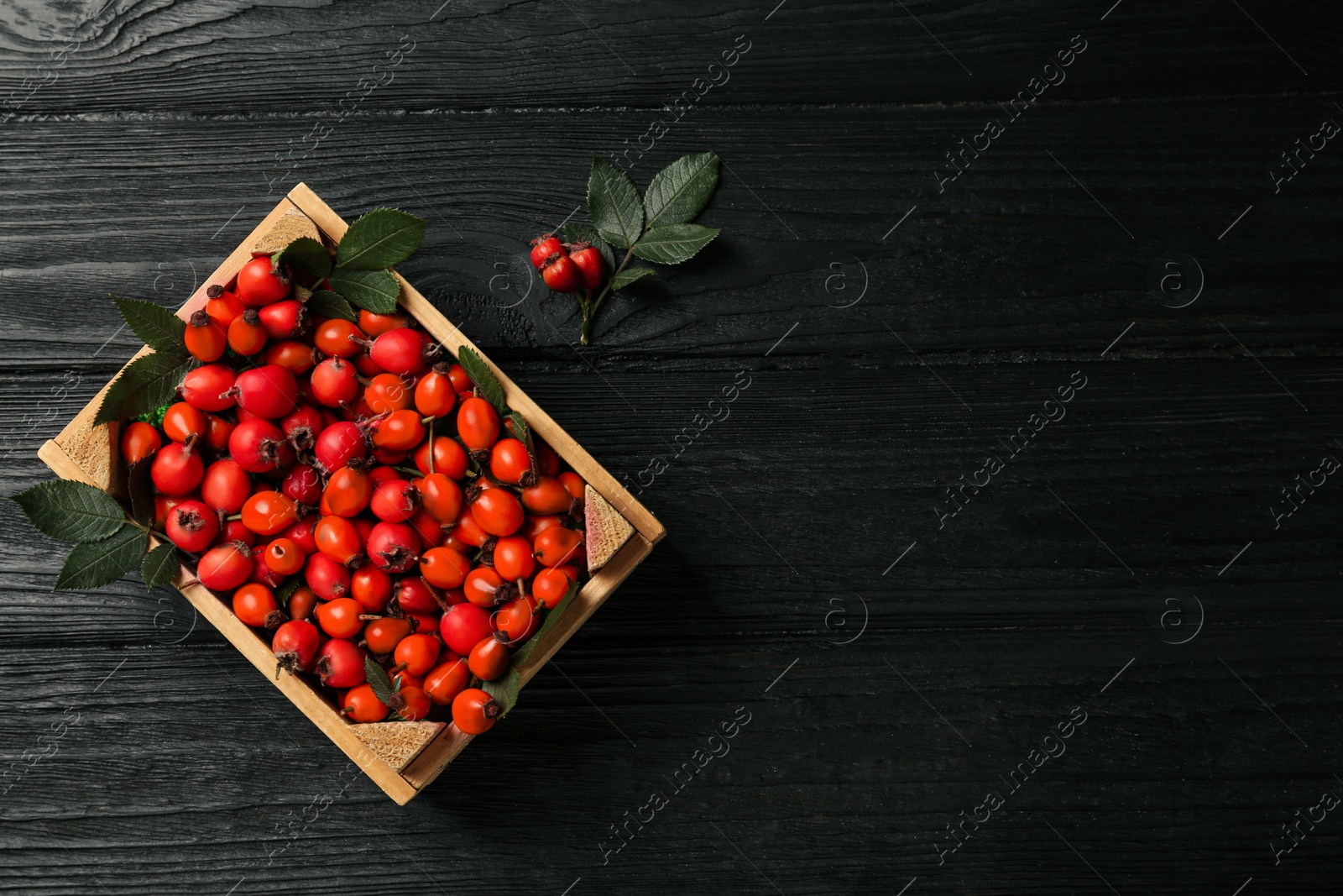 Photo of Ripe rose hip berries with green leaves on black wooden table, flat lay. Space for text