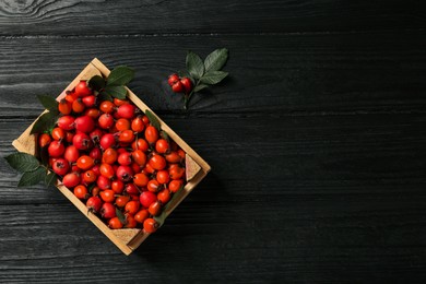 Photo of Ripe rose hip berries with green leaves on black wooden table, flat lay. Space for text