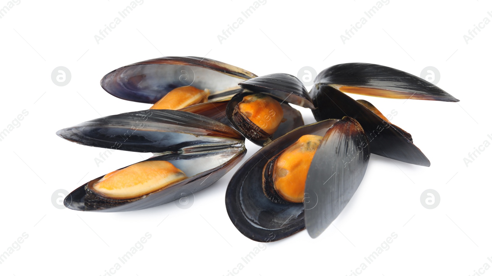 Photo of Delicious cooked mussels in shells on white background