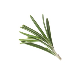 Fresh green rosemary leaves on white background