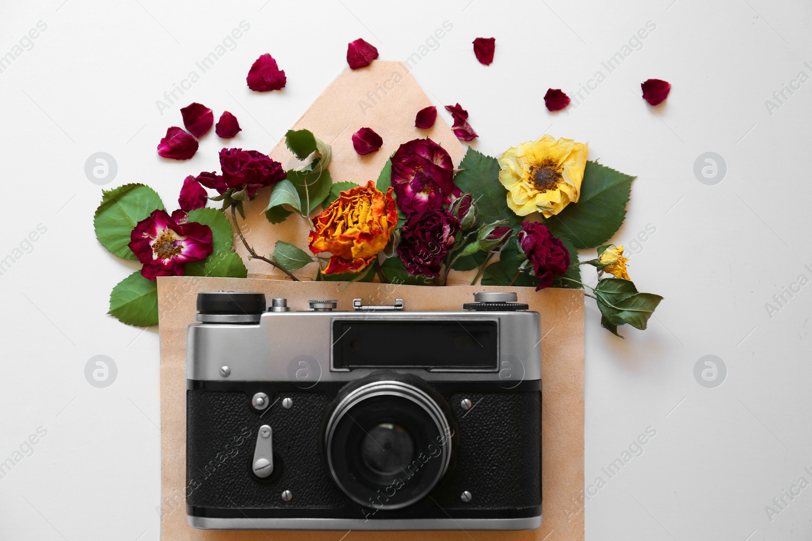 Photo of Flat lay composition with beautiful dried flowers in envelope and vintage camera on white background