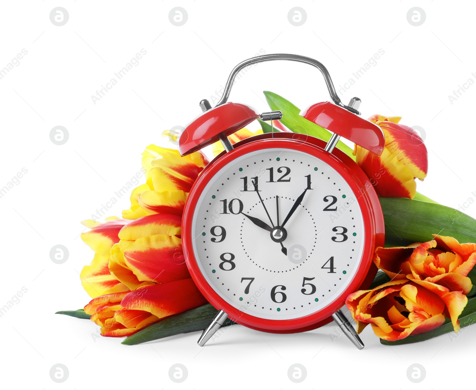 Photo of Red alarm clock and spring flowers on white background. Time change