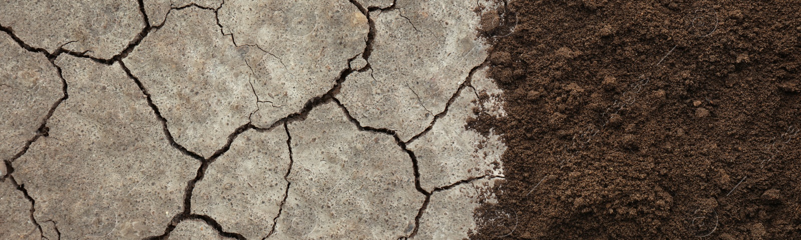 Image of Dry cracked ground and fertile soil, banner design