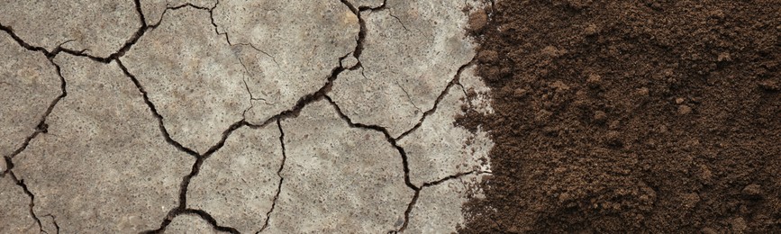 Dry cracked ground and fertile soil, banner design