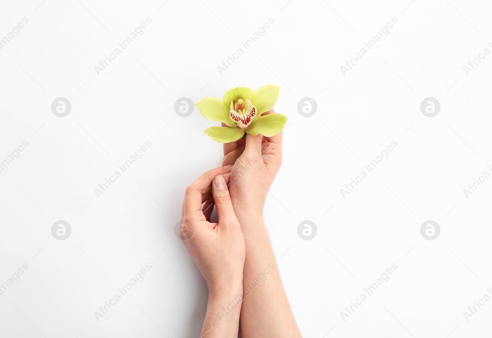 Photo of Young woman holding beautiful orchid flower on white background