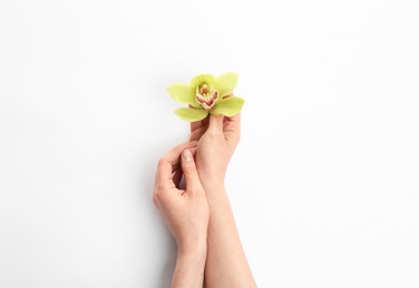 Young woman holding beautiful orchid flower on white background