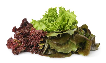 Photo of Different sorts of lettuce on white background