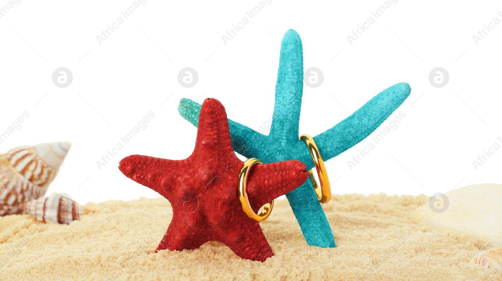 Photo of Honeymoon concept. Two golden rings, sea stars, seashells and sand isolated on white