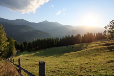 Morning sun shining over pasture in mountains