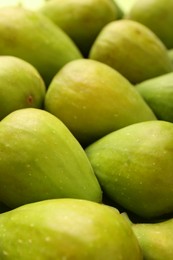 Photo of Many fresh green figs as background, closeup