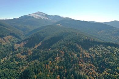 Beautiful mountains covered with forest on sunny day. Drone photography