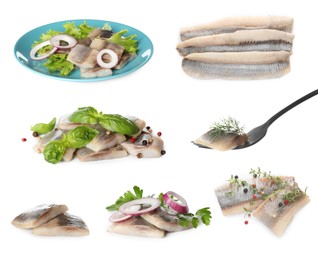 Image of Set with delicious salted herring fillets on white background