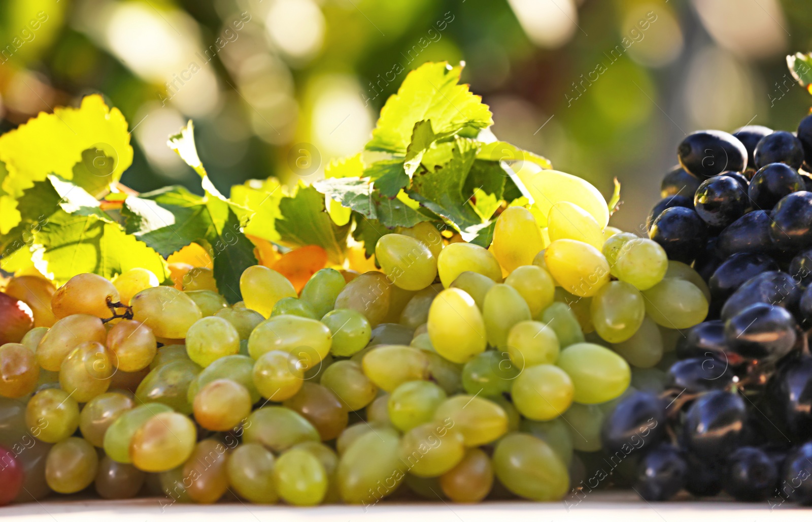 Photo of Fresh ripe juicy grapes on table against blurred background