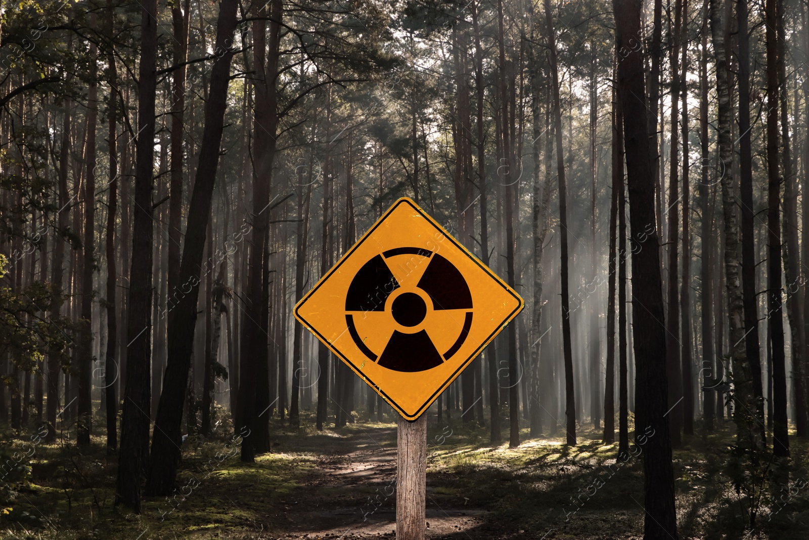 Image of Radioactive pollution. Yellow warning sign with hazard symbol near contaminated area in forest