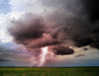 Image of Picturesque thunderstorm over green field. Lightning striking from dark cloudy sky