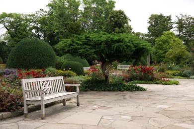 Stylish wooden bench in beautiful garden on sunny day