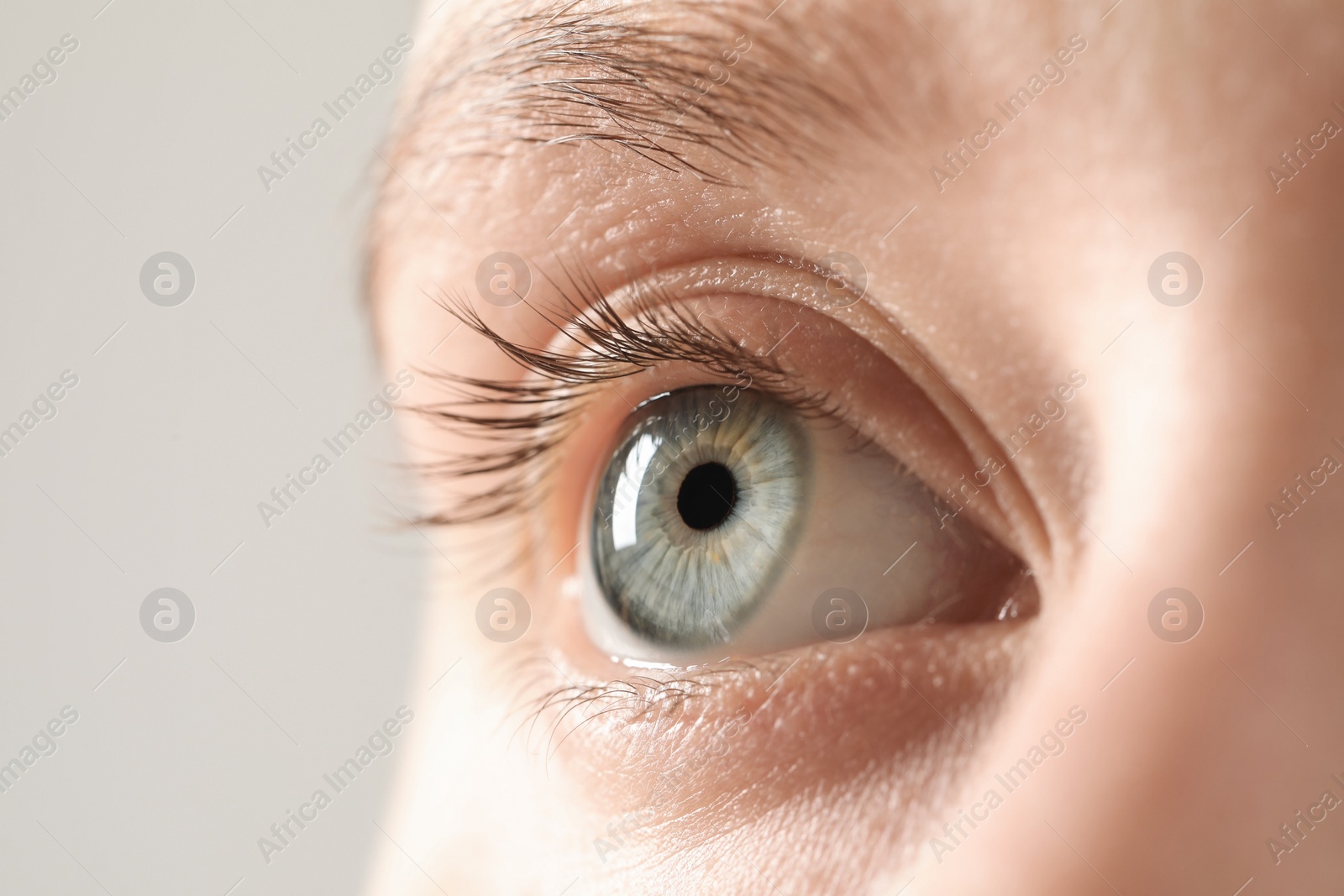 Photo of Macro photo of woman with beautiful eyes on light background