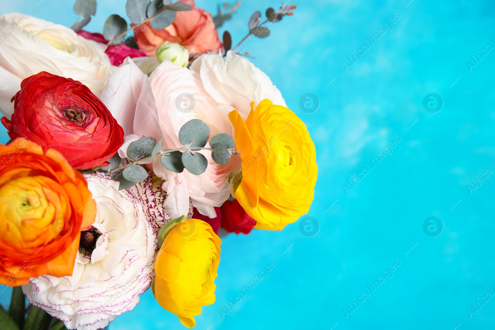 Photo of Bouquet with beautiful ranunculus flowers on color background. Space for text