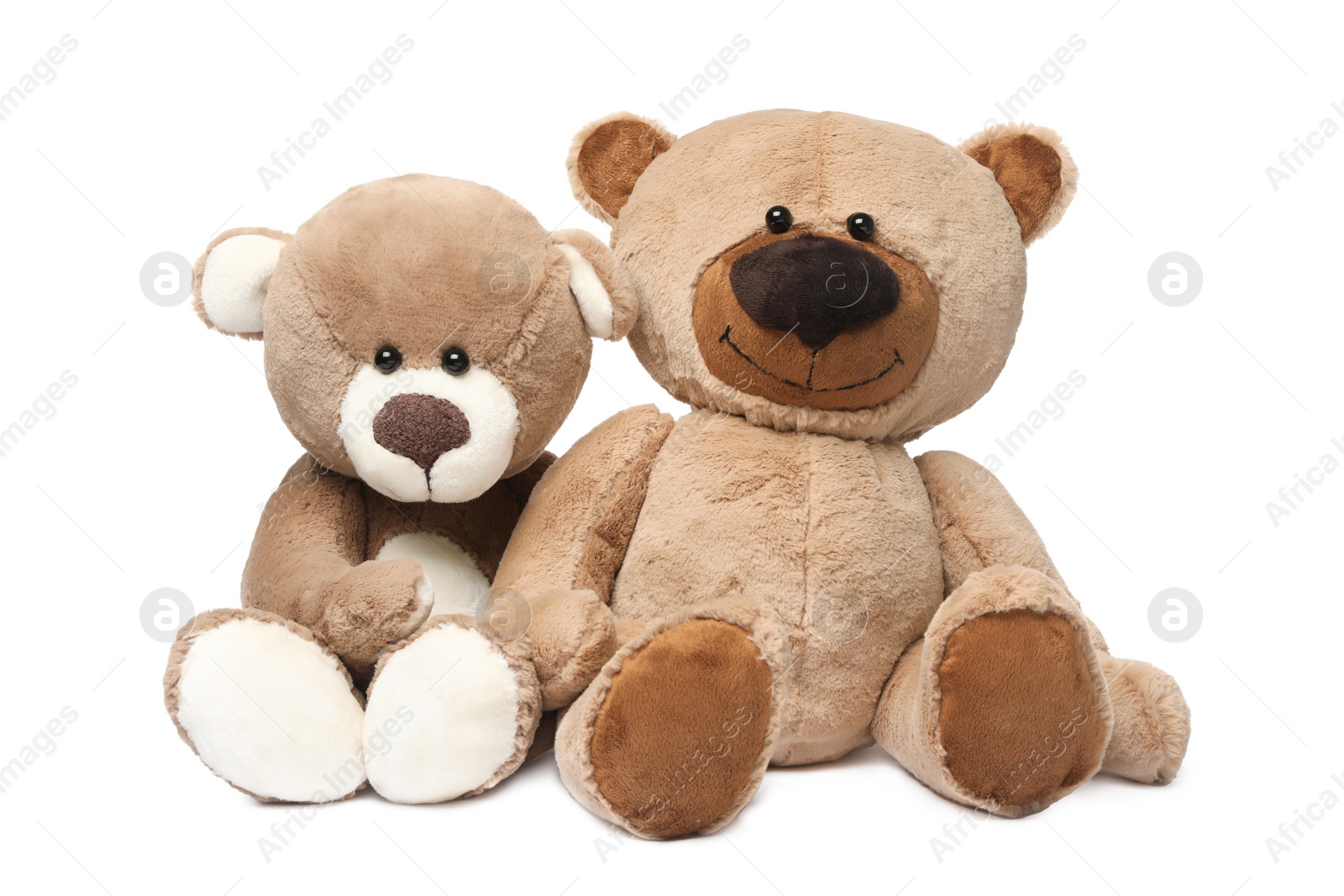 Photo of Cute teddy bears isolated on white. Child`s toy