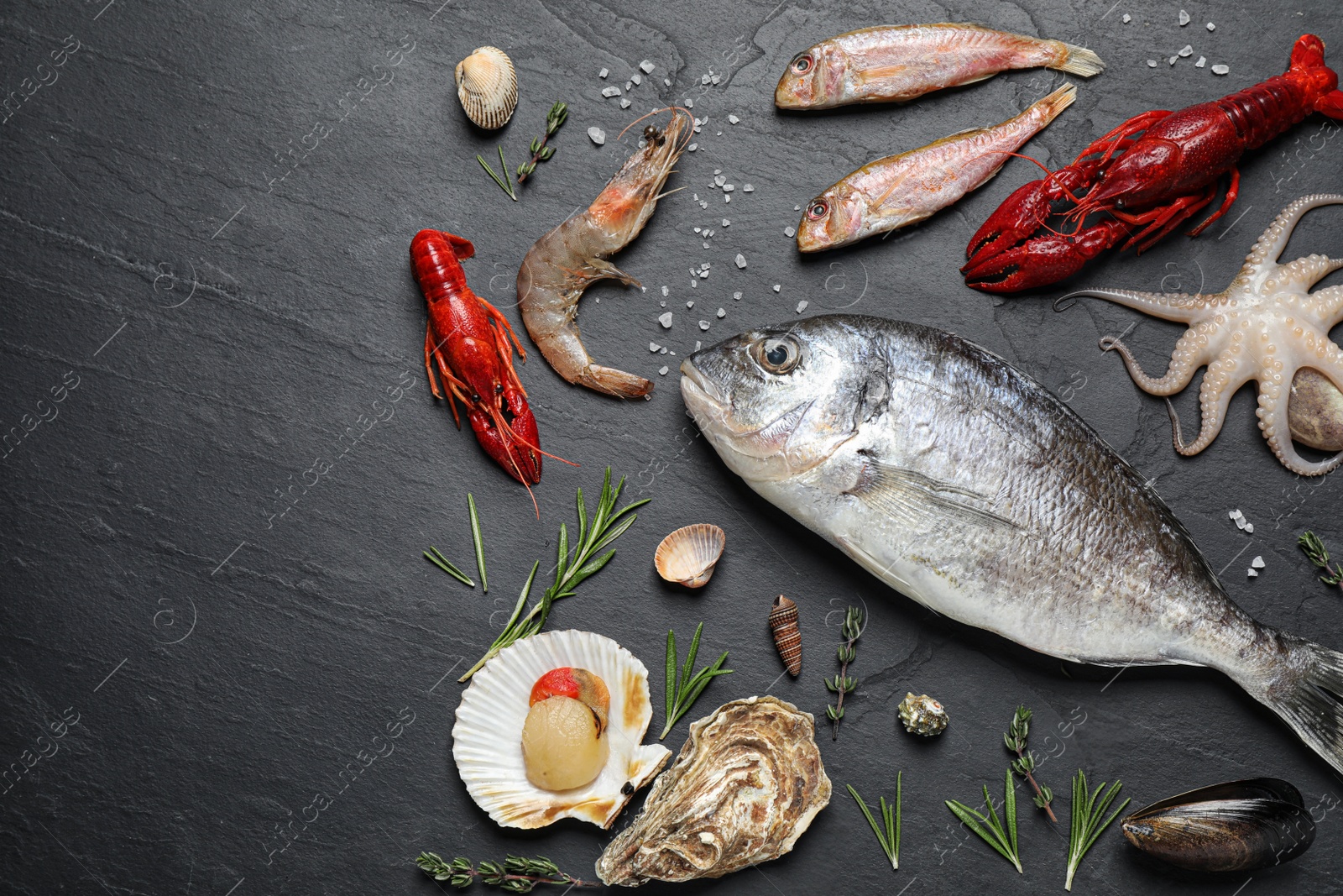 Photo of Fresh fish and different seafood on black table, flat lay