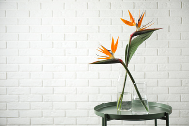 Photo of Bird of Paradise tropical flowers near white brick wall, space for text