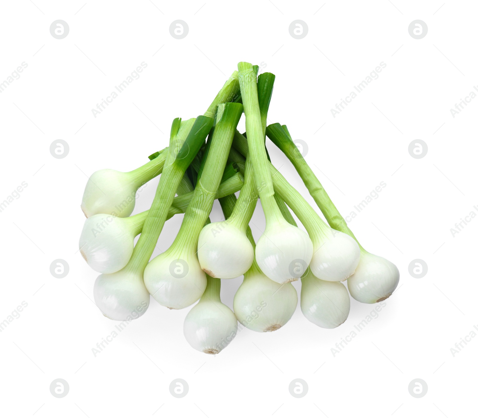 Photo of Whole green spring onions isolated on white, top view